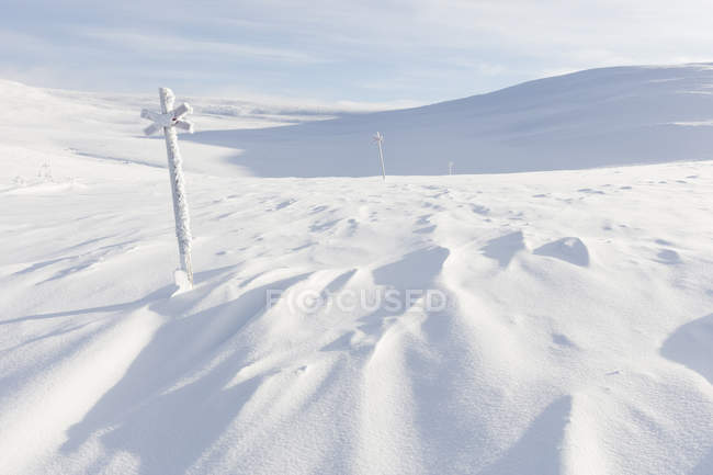Marcadores na neve, foco seletivo — Fotografia de Stock