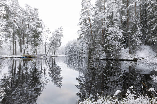 Waldsee mit schneebedeckten Bäumen in Lotorp, Schweden — Stockfoto
