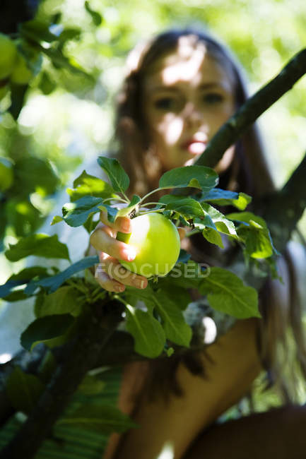 Девочка-подросток держит яблоко, сосредоточиться на переднем плане — стоковое фото