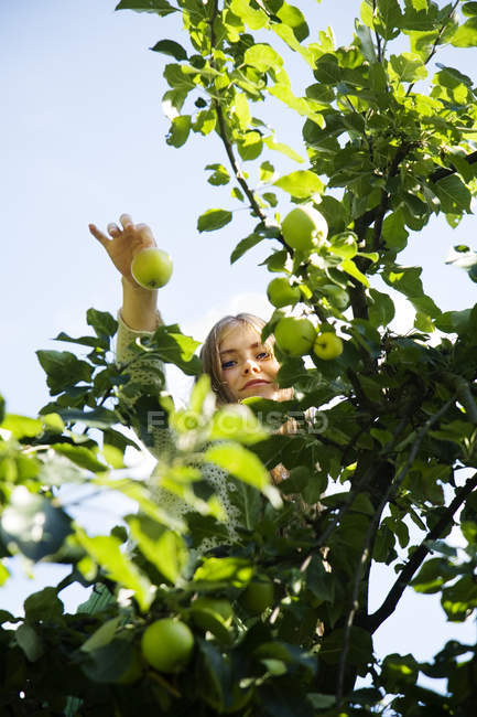 Низький кут зору дівчинка-підліток тримає яблуко на фоні блакитного неба — стокове фото