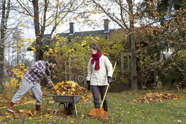 Couple raking leaves in wheelbarrow, selective focus — Stock Photo