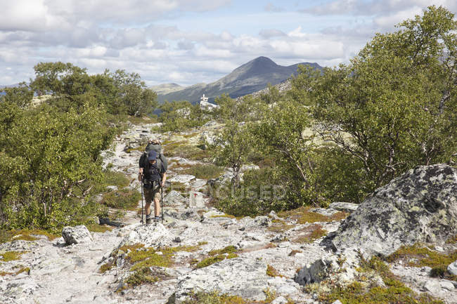 Mann wandert im Nationalpark Rondane, Norwegen — Stockfoto