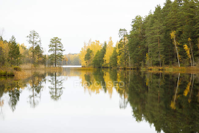 Autumnal forest by lake in Lotorp, Sweden — Stock Photo