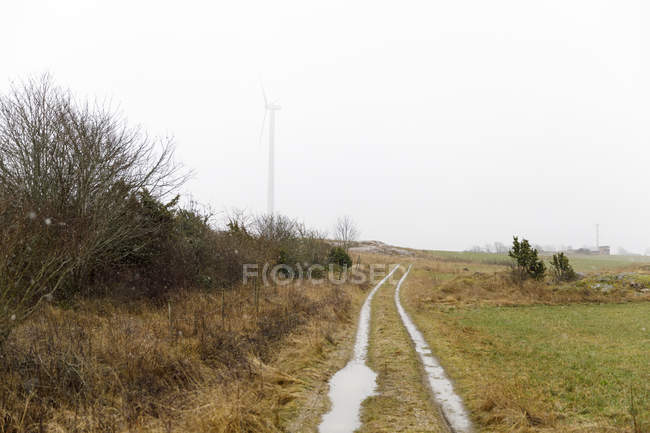 Estrada rural, foco seletivo — Fotografia de Stock