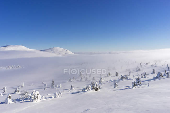 Сніговий покритий пейзаж, вибірковий фокус — стокове фото