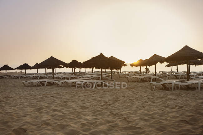Парасольки на пляжі на заході сонця в Кабо - Верде. — стокове фото
