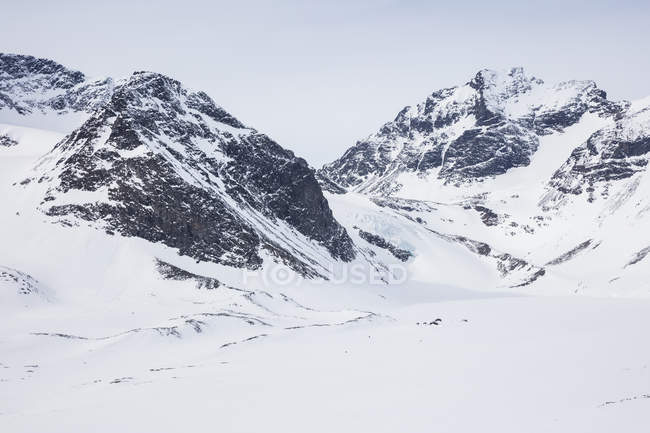Снег в горах Лапландии, Швеция — стоковое фото