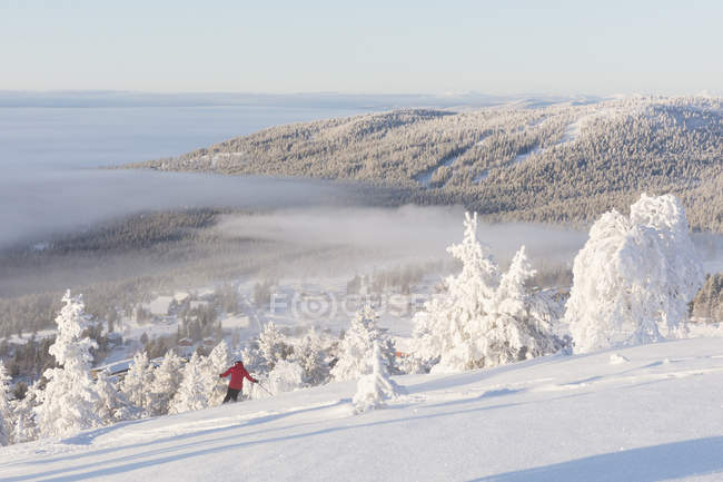 Person skiing by snow covered trees — Stock Photo