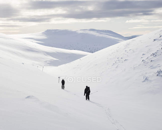 Vista panorámica de los hombres que esquian en montañas cubiertas de nieve en invierno, vista trasera. - foto de stock