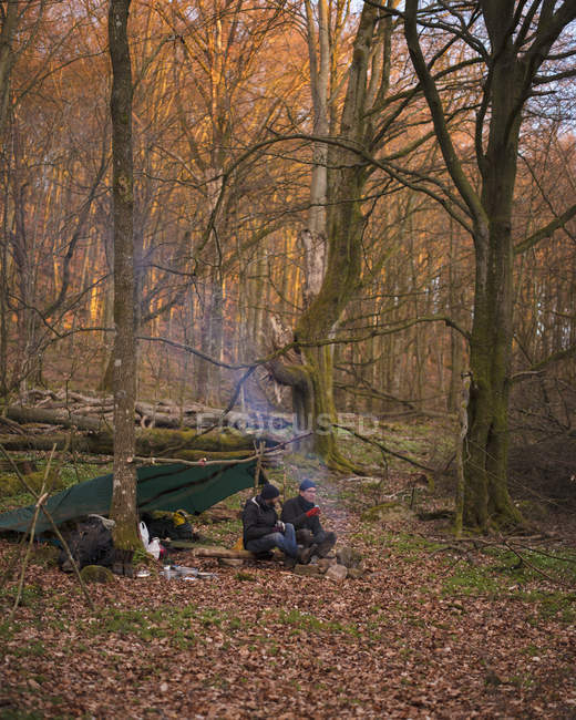 Чоловіки у кемпінгу в лісі, вибірковий фокус — стокове фото