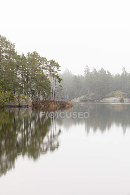 Живописный вид деревьев, отраженных в озере — стоковое фото