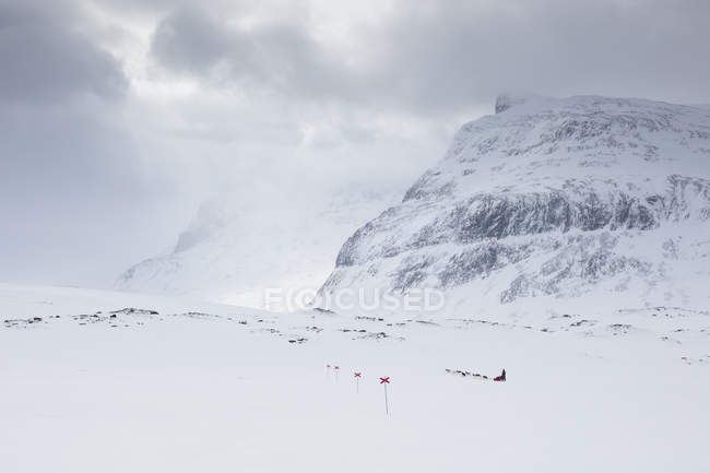 Marcadores en la nieve del sendero Kungsleden en Laponia, Suecia - foto de stock