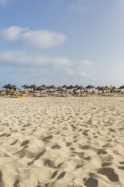 Paraguas en la playa de Cabo Verde - foto de stock