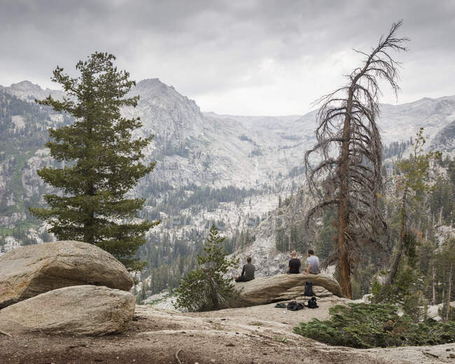 Homens sentados no log-in Parque Nacional Sequoia, na Califórnia — Fotografia de Stock