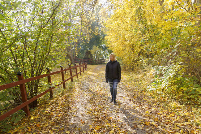 Зрелая женщина, гуляющая в лесу осенью — стоковое фото