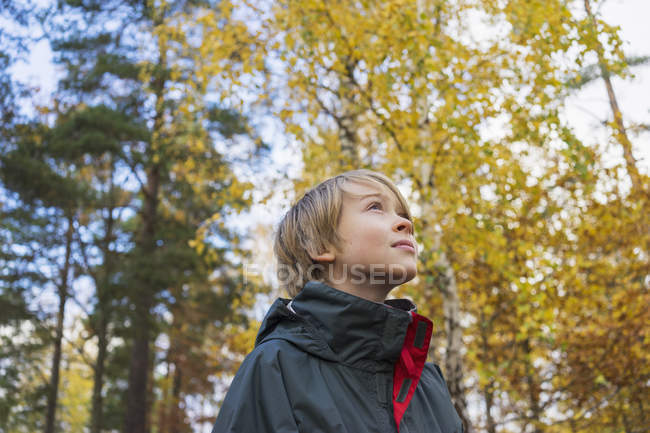 Хлопчик в осінньому лісі, вибірковий фокус — стокове фото