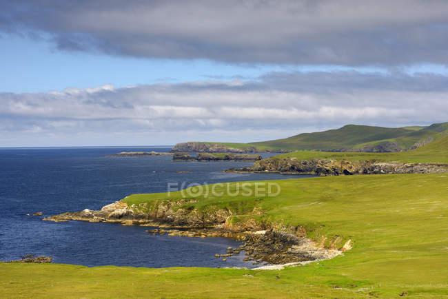 Береговая линия с заливами между травянистыми скалами на Шетландских островах, Великобритания — стоковое фото