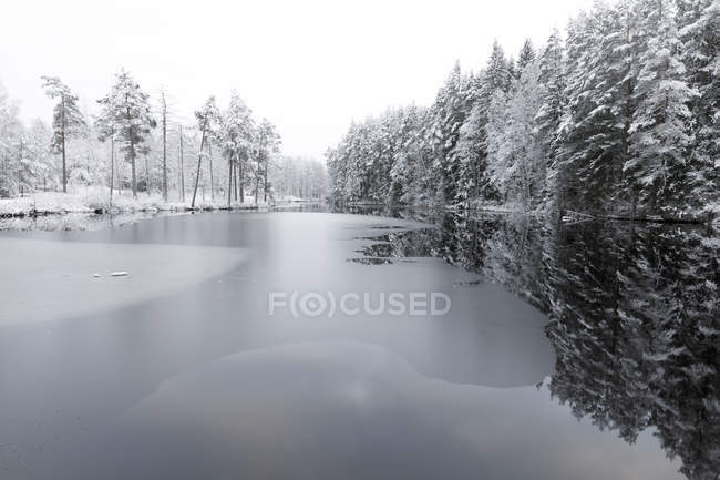Hielo en el lago por árboles cubiertos de nieve en Lotorp, Suecia - foto de stock