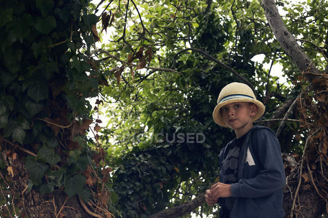 Boy wearing sun hat amongst tree branches — Stock Photo