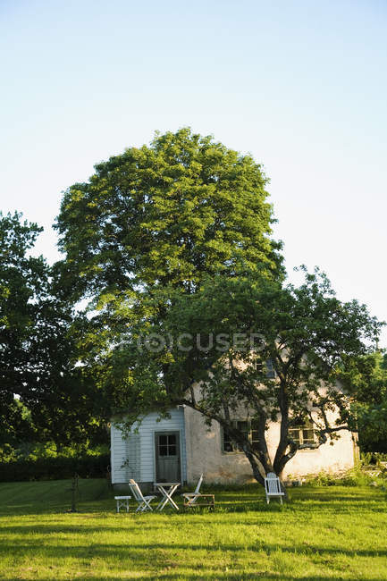 Scenic view of cottage in trees, Gotland, Sweden — Stock Photo