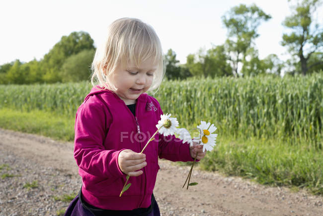 Mädchen mit Gänseblümchen am Feld, selektiver Fokus — Stockfoto
