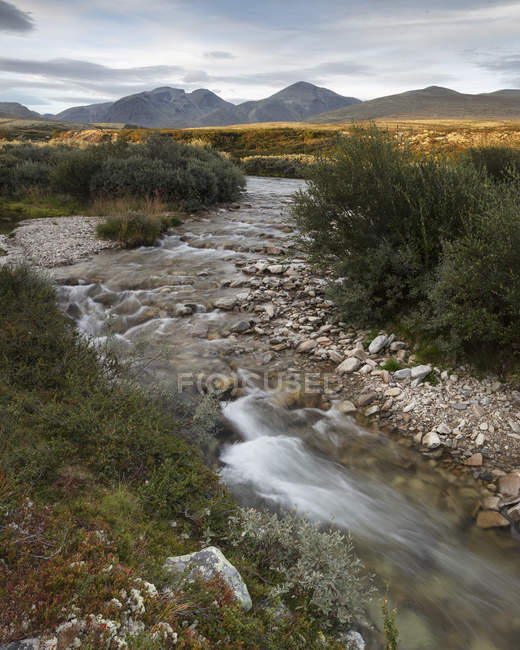 Scenic view of river through Rondane National Park, Norway — Stock Photo