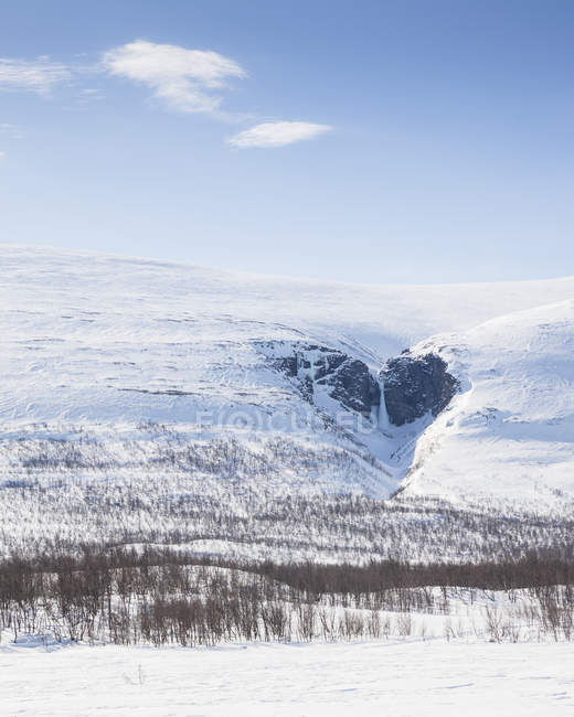 Голі дерева снігом покриті горою — стокове фото