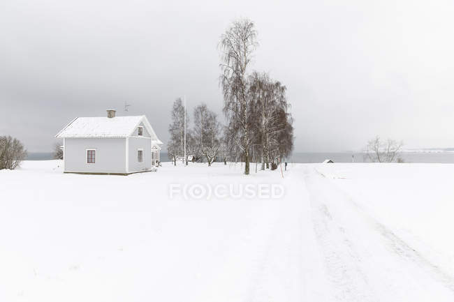 Дом за деревьями в снегу, избирательный фокус — стоковое фото