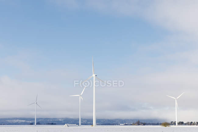 Scenic view of windmills in snow — Stock Photo