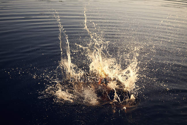 Espirro de menino mergulhando no lago — Fotografia de Stock