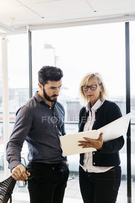 Business people with folder discussing work in office — Stock Photo