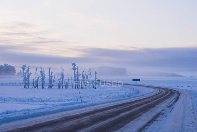 Geada coberto árvores ao lado de neve estrada rural em Skavsta, Suécia — Fotografia de Stock