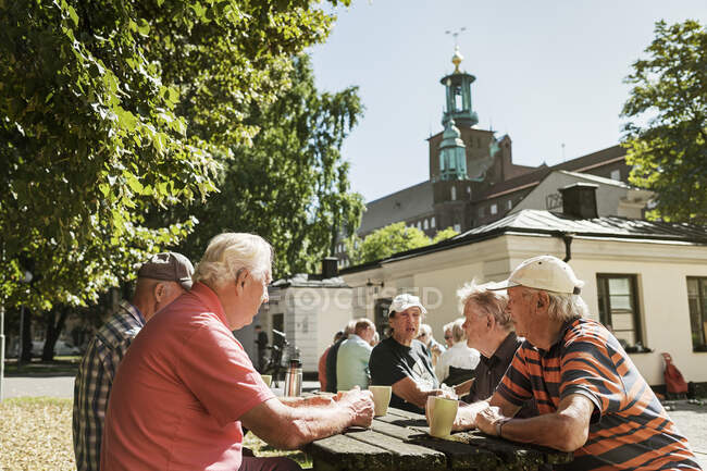 Пожилые люди, сидящие вместе за столом для пикника — стоковое фото