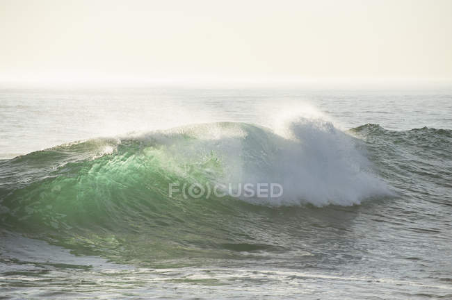 Malerischer Blick auf die Welle im Meer — Stockfoto