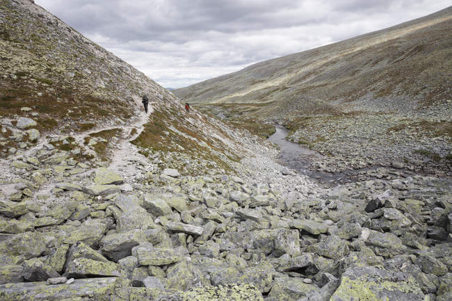 Мужчины, совершающие пешие прогулки в национальном парке Ронни, Норвегия — стоковое фото