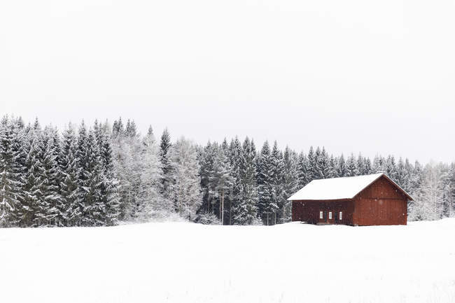 Vista panoramica del fienile rosso nella neve — Foto stock