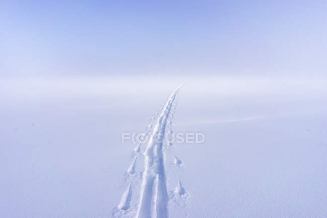 Skistrecken im Schnee, selektiver Fokus — Stockfoto