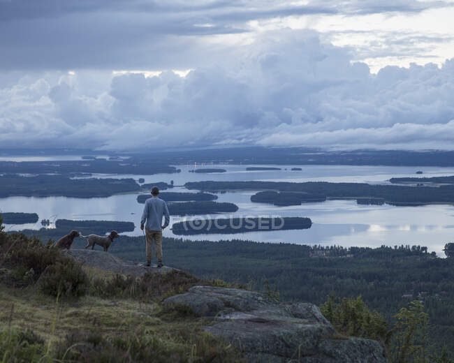 Homem com cães em pé na colina e olhando para a vista — Fotografia de Stock