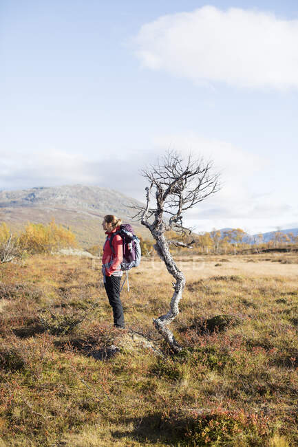 Frau mit Rucksack steht am kahlen Baum — Stockfoto