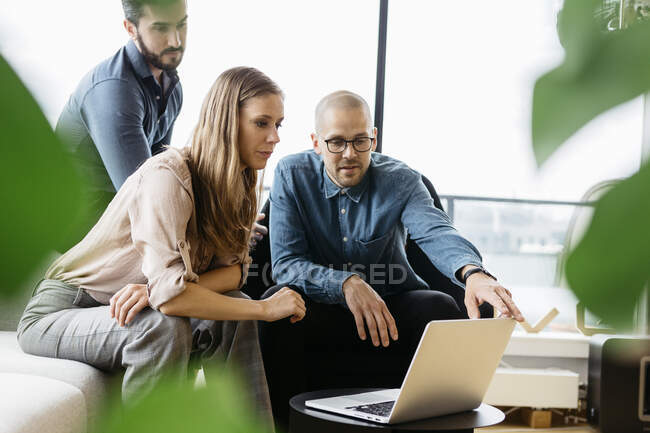 Focused young business people using laptop in office — Stock Photo