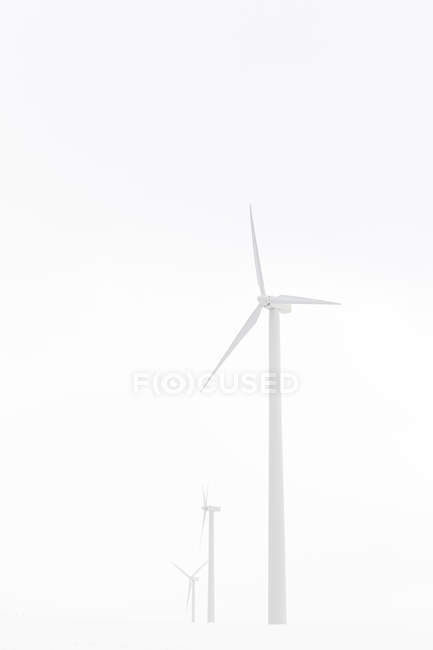 Мальовничий вид на білі вітряки — стокове фото