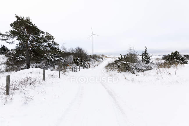 Scenic view of rural road covered with snow — Stock Photo