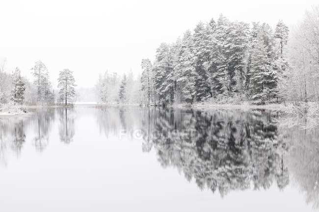 Lago que refleja el bosque de invierno en Lotorp, Suecia - foto de stock