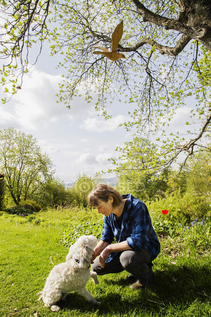 Зріла жінка пестить собаку на зеленому лузі в сільській місцевості — стокове фото