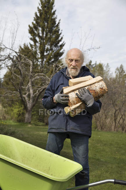 Homem sênior coletando lenha, foco seletivo — Fotografia de Stock