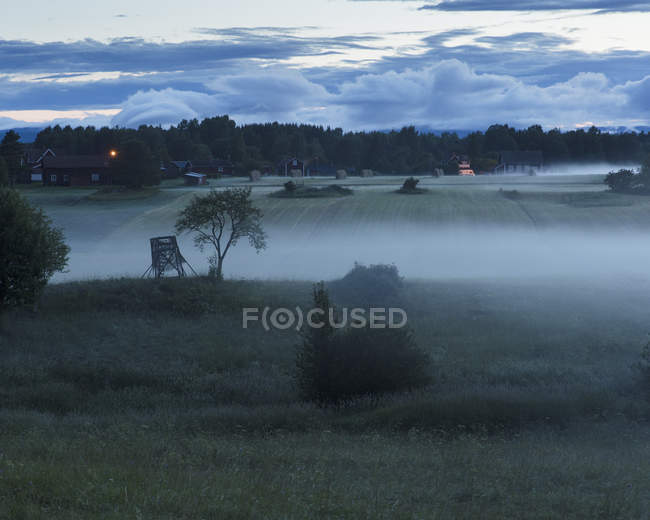Vista panorámica de la niebla en el campo - foto de stock