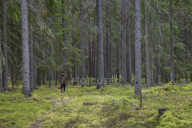 Woman carrying basket in forest — Stock Photo