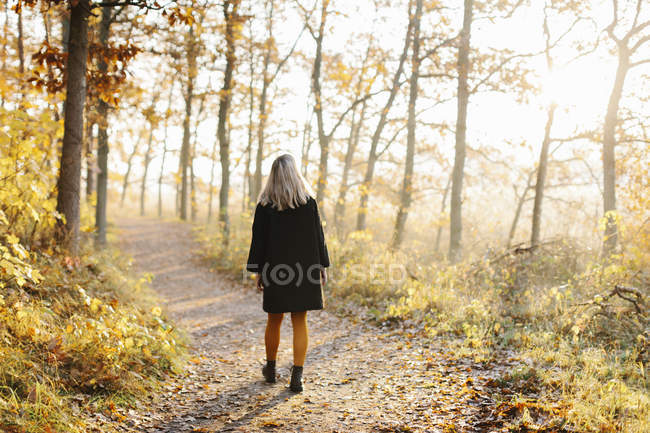 Жінка йде в осінньому лісі. — стокове фото