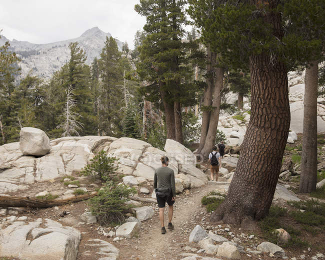 Randonneurs dans le parc national de Sequoia en Californie — Photo de stock