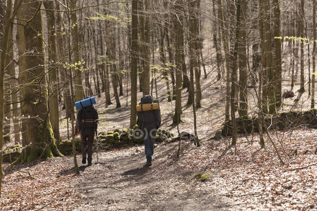 Caminhadas de homens na floresta, foco seletivo — Fotografia de Stock